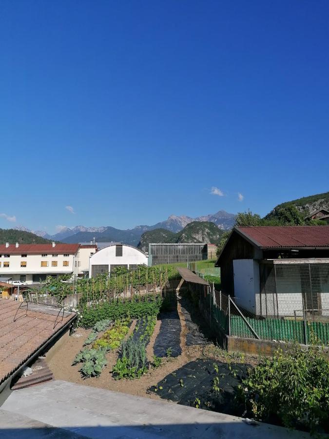 Al Fogolar Villa Santina Exterior foto